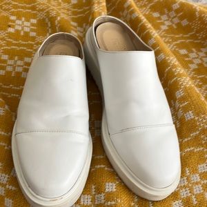 Claetyn Wood mules 7.5